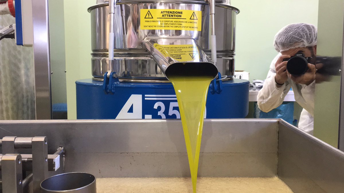 Nel nuovo frantoio dell'azienda si effettua la prima fase di produzione dal quale si ottiene un primo olio non filtrato.