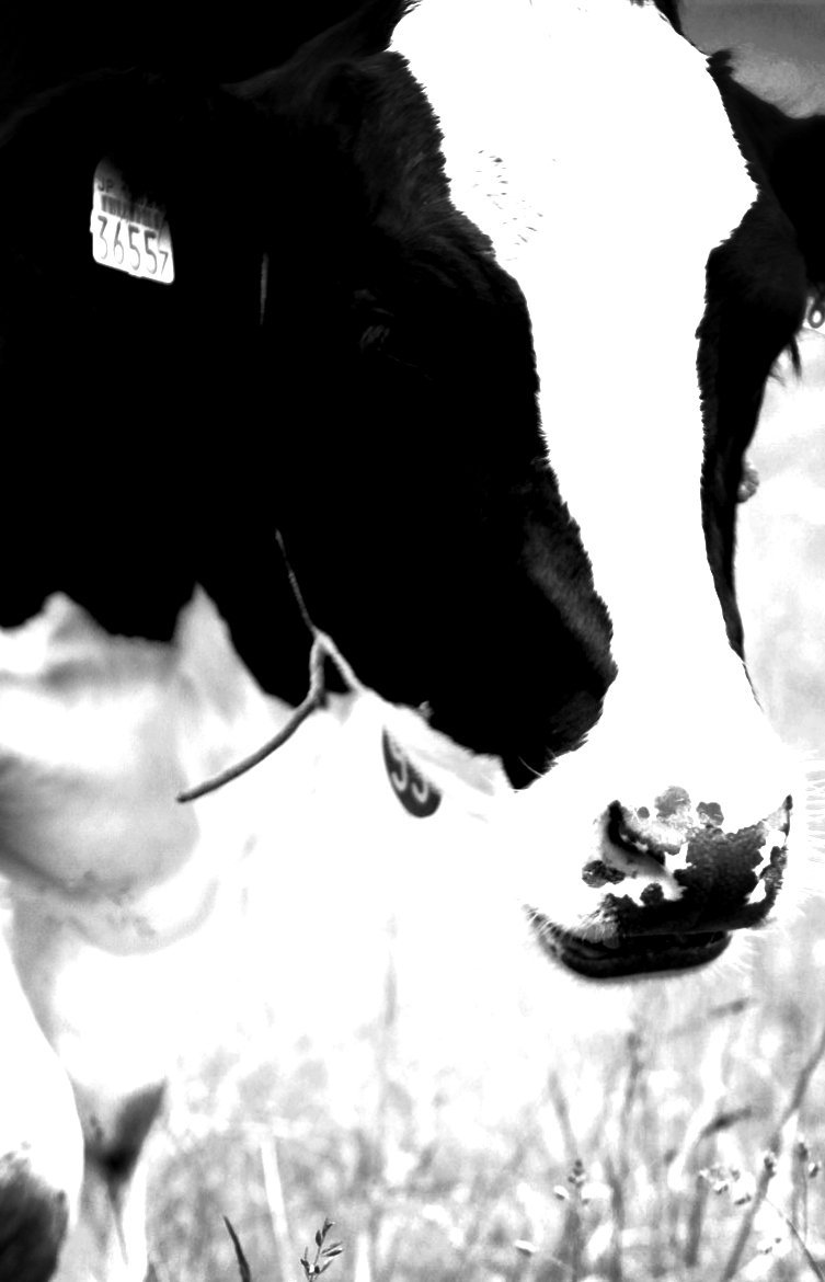 ドラマ 闇金ウシジマくん の芳則と荒木宏文くんのこと