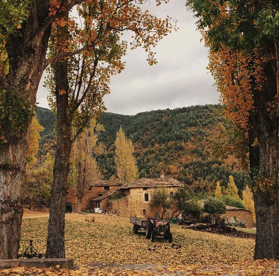 DisfrutaAragon_'s tweet photo. ¿Qué plan tenéis para este finde?
Aprovechar a hacer alguna excursión y disfrutar estos colores otoñales!
📷 Valle de Lierp #Huesca  @jagnet https://t.co/Mt0OmfFGX5