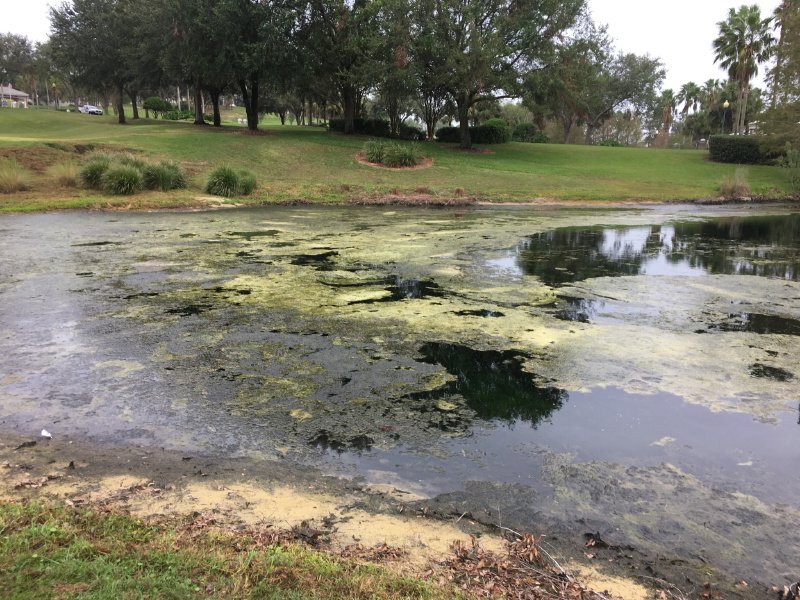 StewardsOfWater's tweet photo. #Hammer&amp;Broom to the rescue in Florida! Can't wait to see the after pictures. #SePROSolutions
#CaptainXTR #SeClear https://t.co/vcA2D3hURh