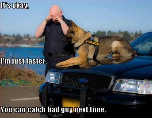 4thelilones's tweet photo. Happy Friday .. ๐๐ @LivePDK9 @L_Pysz @K9Flex_JPD @K9Rebbel @K999CopsOAPs @ArkCity_Police @HaralsonSheriff https://t.co/3oaedFGeJo