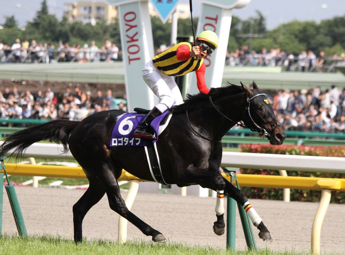 dreamjourney__'s tweet photo. ロゴタイプ大変お疲れ様でした。
写真は安田記念ですが、1番印象に残っているのは朝日杯です。
断然人気のコディーノを破ったのは痺れました。朝日杯前の田中先生が乗った追い切りがすごくカッコよかったのを今でも覚えています。
種牡馬としてもロゴタイプが活躍できることをお祈りしております。 https://t.co/URquuqF6CQ