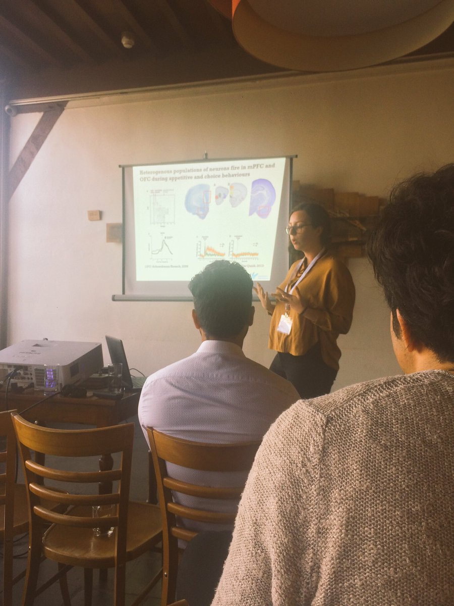 dondersdiscuss's tweet photo. Some more parallel sessions in the last day of #dd2017! #neuroscience #nijmegen #electrophysiology #brainstimulation https://t.co/DHI8jMboBW