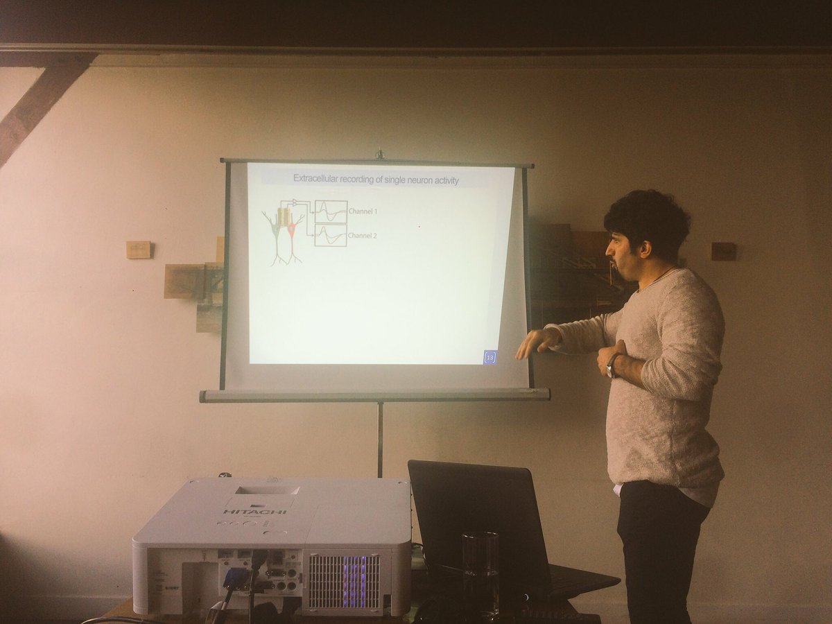 dondersdiscuss's tweet photo. Some more parallel sessions in the last day of #dd2017! #neuroscience #nijmegen #electrophysiology #brainstimulation https://t.co/DHI8jMboBW