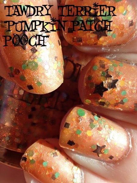 Bellashoot tweet media