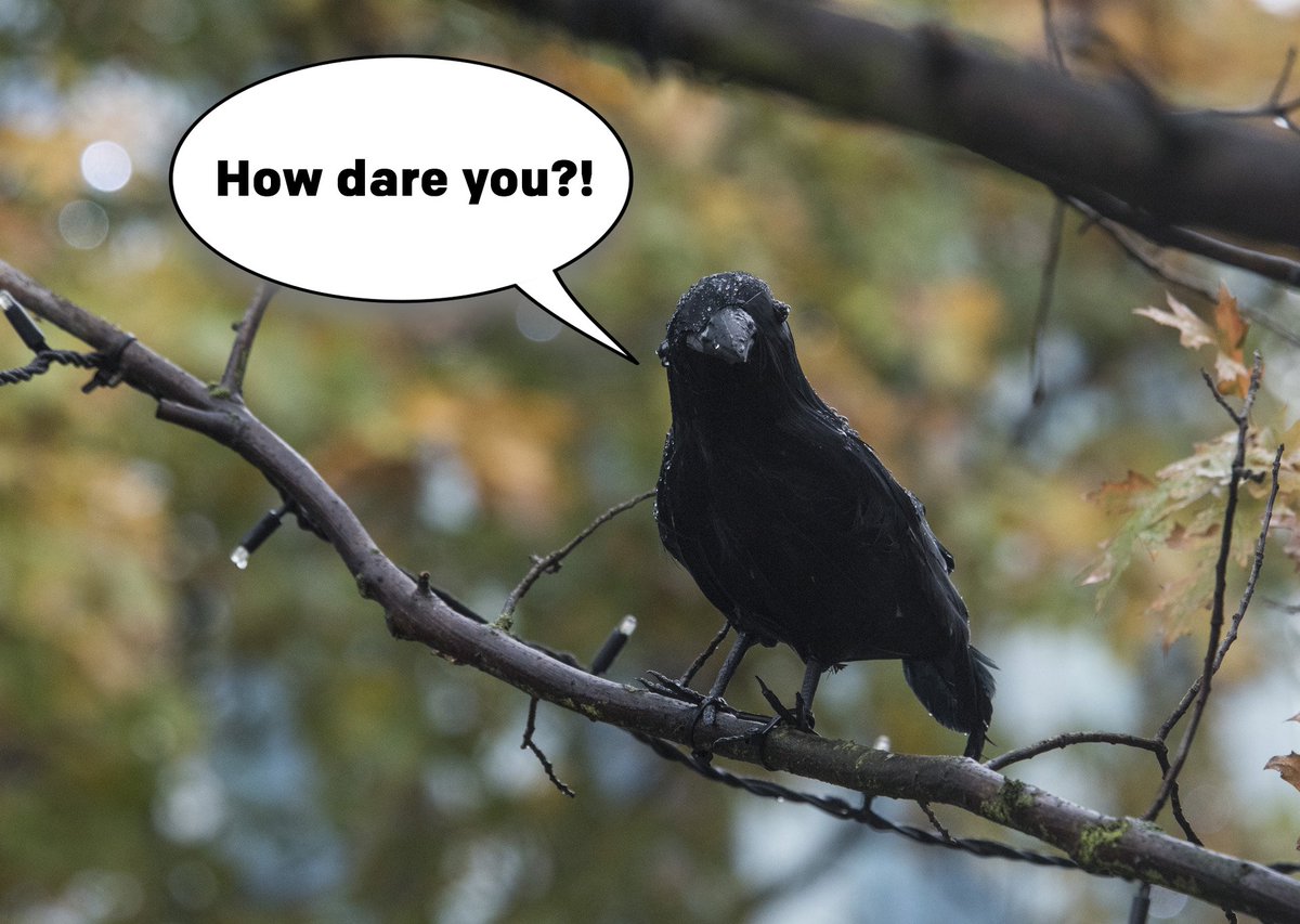 <a href="/cca_manchester/">CCARecruitment North</a> <a href="/skyediamond1/">SkyeDiamond</a> He's not happy.
