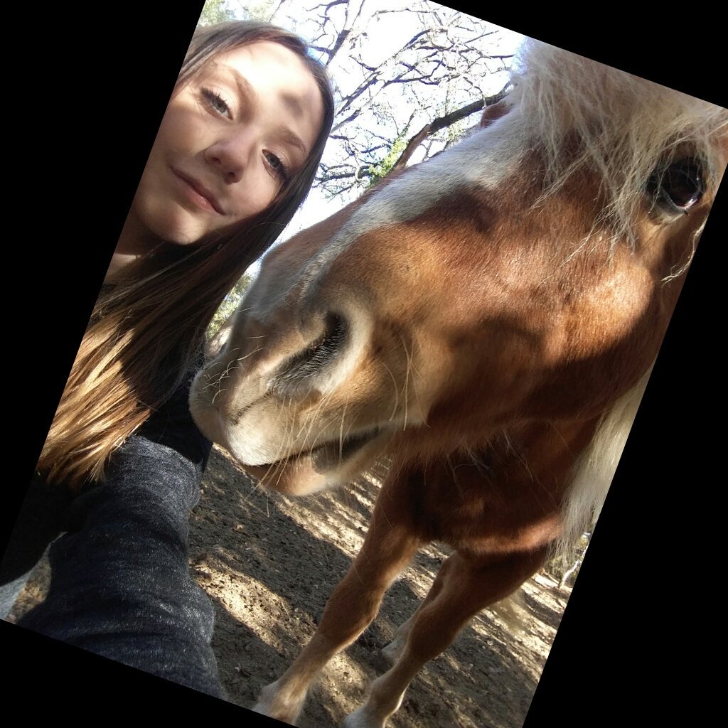 PDequitation tweet picture