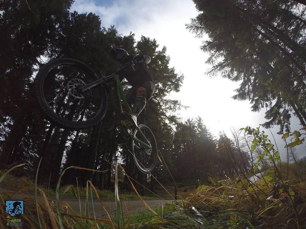 trailride_mtb's tweet photo. Heute gepflegt das Tyee 2018 gefahren ππ€π΄ββοΈππ³ππ§
#mtbtrailride #propainbikes #mtb #trailaction #bikeparkwillingen β¦ https://t.co/EW0TkGYafW https://t.co/6LYLDUfPv5