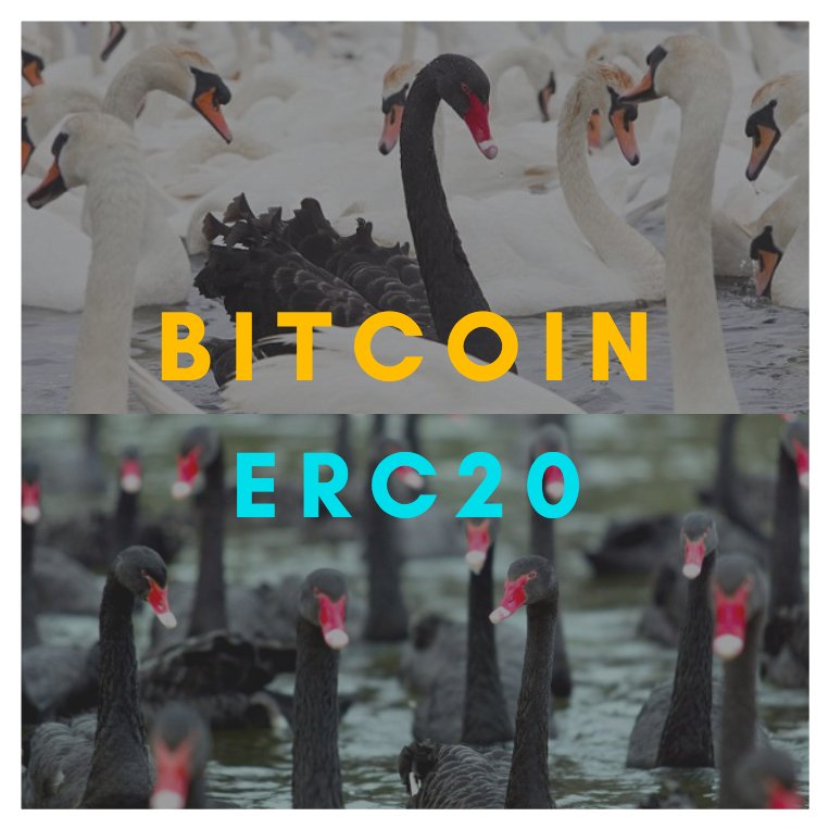 pkothbauer's tweet photo. The current #ICO culture puts financial gain above all else.
It fuels a kind of greed and dishonesty I thought #Bitcoin was meant to remedy. https://t.co/SMOkqRQuDl