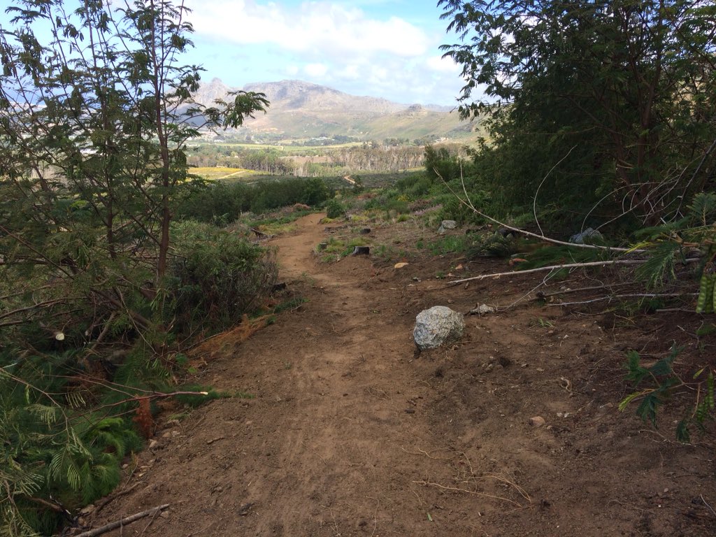 New, one-way Lizzard trail (next to DH2) reopens tomorrow.. missed this little gem! #tokairestoration
