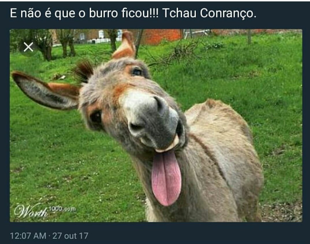 MonteiroSeliene's tweet photo. Todo alterado no #programaHojeemdia. https://t.co/XdthT0MNrZ
