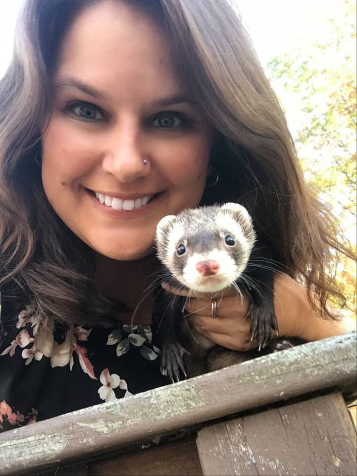 MarshallPet's tweet photo. Happy #FelfieFriday from Marshall. #Ferrets https://t.co/u7l4pBkr8V
