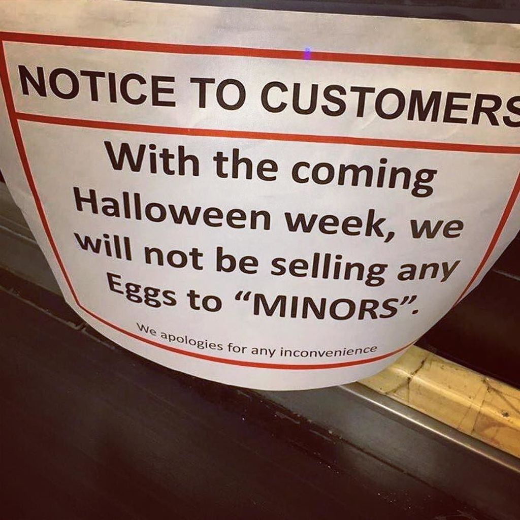 BERMEMES's tweet photo. Ay bah....thanks fah keeping us safe from de fresh eggs ๐ฅ๐ค #Bermuda #Bermy #halloween #anyding #bermemes https://t.co/nhSZWmsE5w https://t.co/nk3GWBtayP