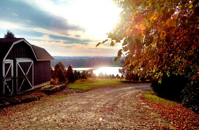 Waynewings's tweet image. Beautiful day for a drive thru the country...#AmishCountry that is. 
You need an autumn #getawayne 
@pinetreebarn @Ohio_Tourism #bringasweater