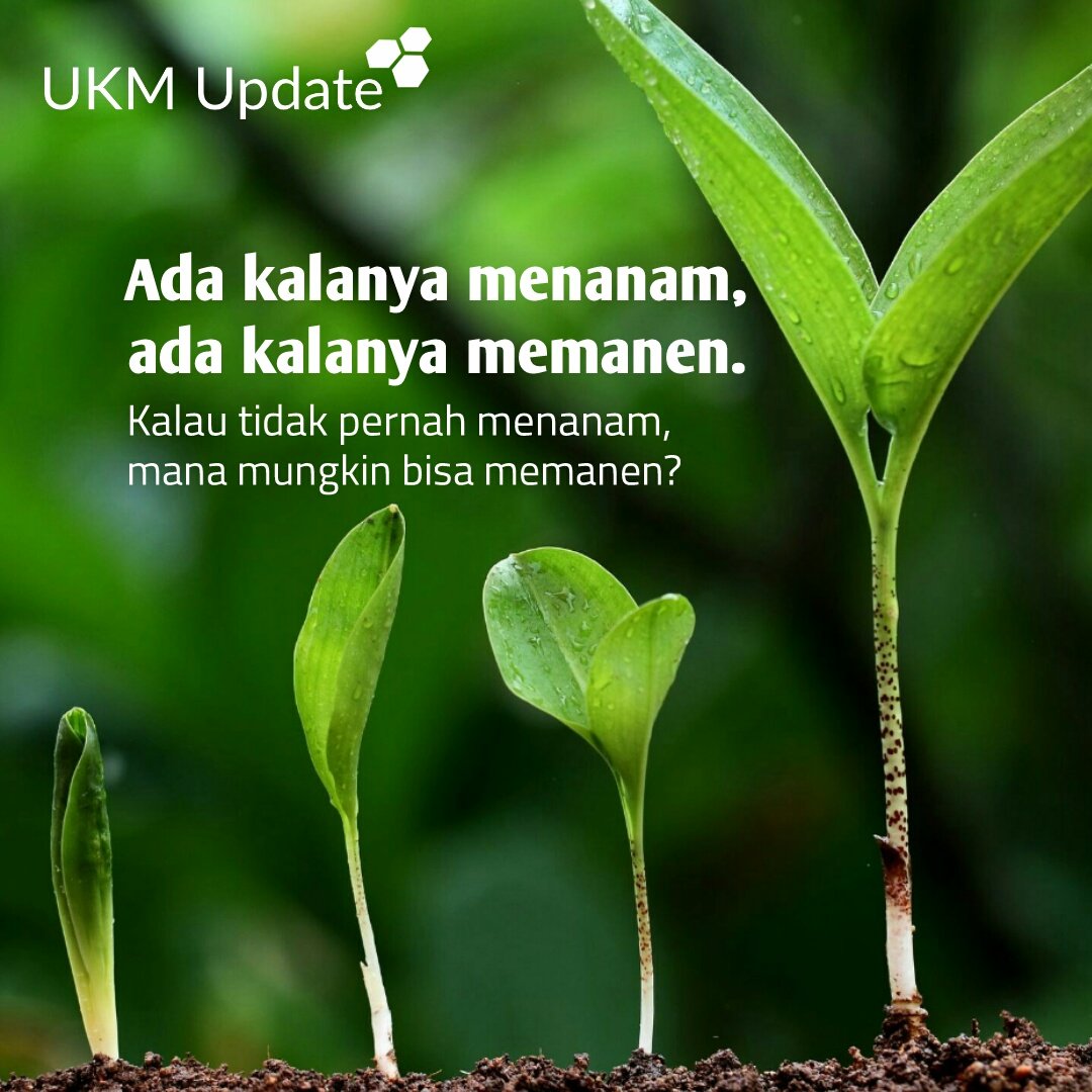 Ada kalanya menanam, ada kalanya memanen. Kalau tidak pernah menanam, mana mungkin bisa memanen? #bisnis