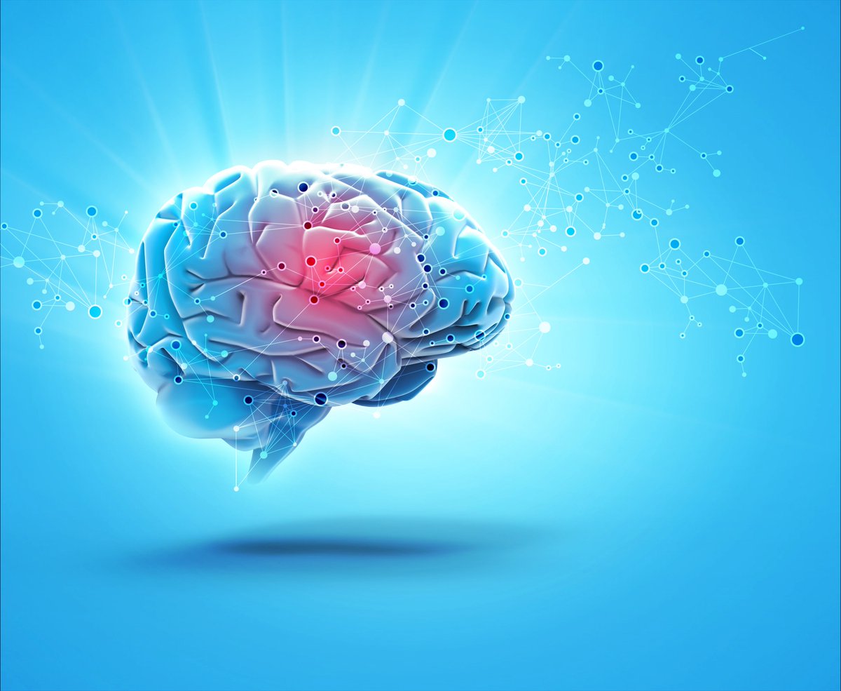 The Human Brain: the Final Biological Frontier. #mentalhealth #research <a href="/HuffPost/">HuffPost</a>
huffingtonpost.com/entry/59f23269…