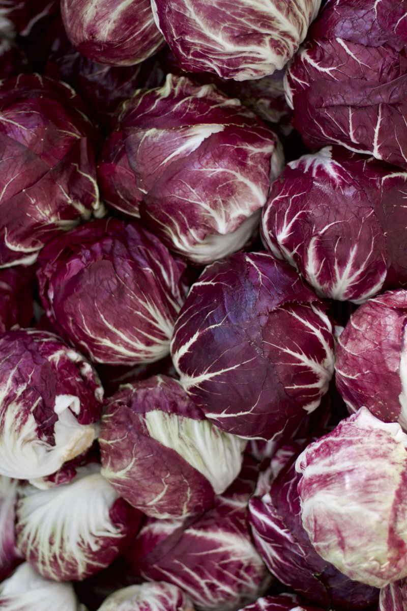 Wildkale tweet media