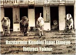 jan\sel ankara (@janselcift) on Twitter photo 