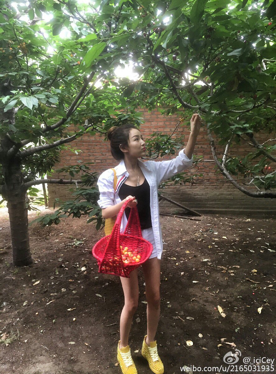 IceyHuang1's tweet photo. https://t.co/KfVx19T9vv