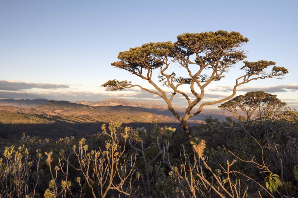 _ProjectGreen's tweet photo. Great news! Twenty-three leading food companies commit to protecting habitat in Brazil. Via @NWF
https://t.co/0TEd6LzBNd https://t.co/RgYoUNDzbn