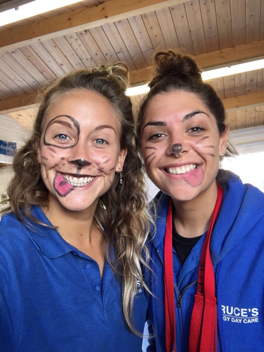 brucesdogdays's tweet photo. #WearYourWhiskers #BrucesDoggyDayCare #BatterseaDogs https://t.co/Wej5JLnlRT