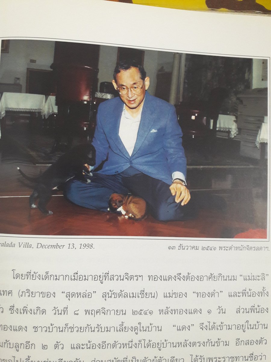 Sasimtrg's tweet photo. วันที่ทองแดงมาเฝ้า ฯ พระบาทสมเด็จพระเจ้าอยู่หัว ทองแดงร้องไห้ตลอดทางที่มาจากวังทองหลาง อาจเป็นเพราะคิดถึงแม่ 
#KingRama9 
#KingBhumibol https://t.co/rDL5ZDNKWq