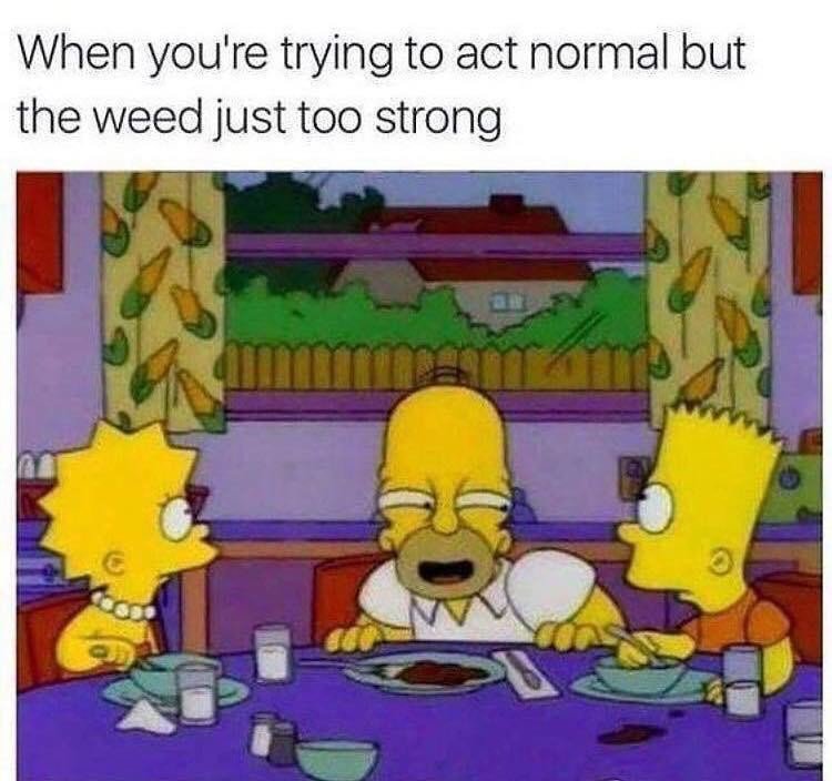 Jared_Smokes's tweet photo. It's too LOUD!

#cannabis #marijuana #pot #weed #smoke #stoner #herb #kush #cannabisculture #simpsons https://t.co/EL5vBBthMz