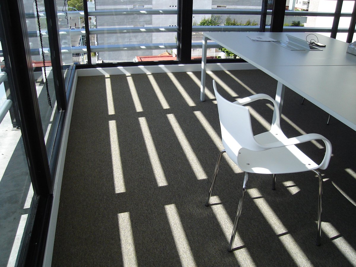 StudioTGsrl's tweet photo. Provisión e instalación de alfombras, ideales para ambientes laborales 💭 #carpet #interiordesign #homedecor #followback #diseñointerior https://t.co/UyAKNaP8HV