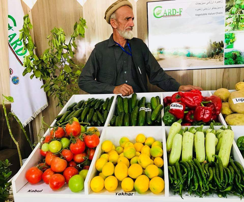 پایان نمایشگاه زراعتی کابل با ۲۶ میلیون افغانی فروش خبرگزاری شیعیان افغانستان Afghanistan Shia News Agency