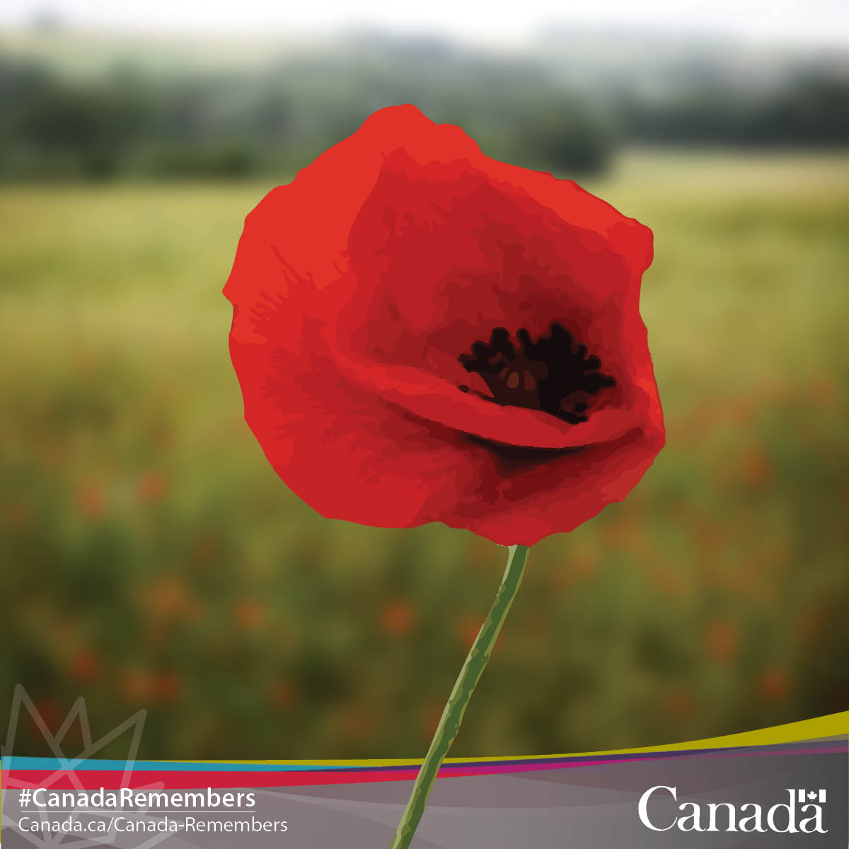 VeteransENG_CA's tweet photo. It’s time to pick up your poppy! Show us yours by using #CanadaRemembers https://t.co/rsIg5HntRs https://t.co/W747snMpsp