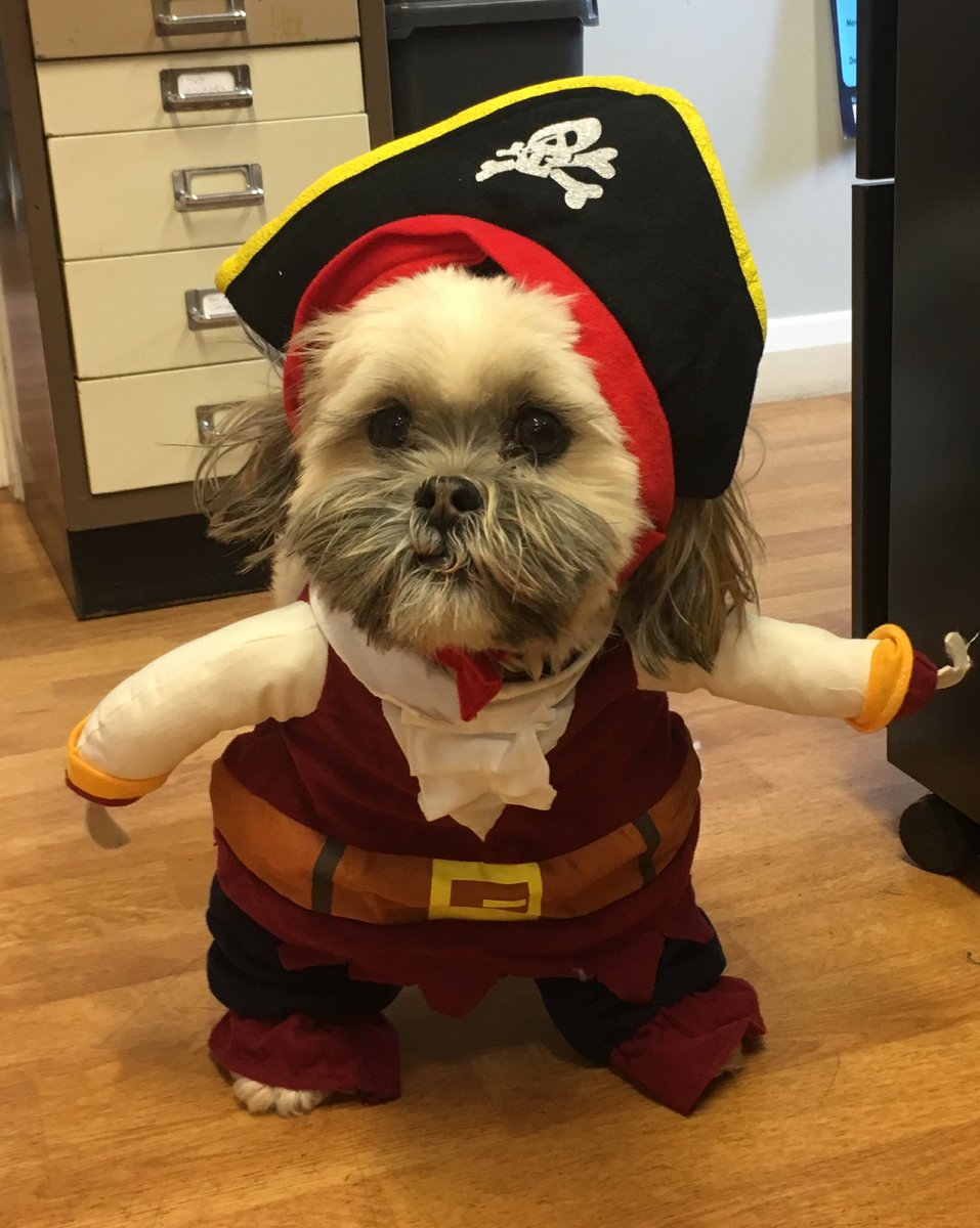 When your #Halloween costume is on point 💁