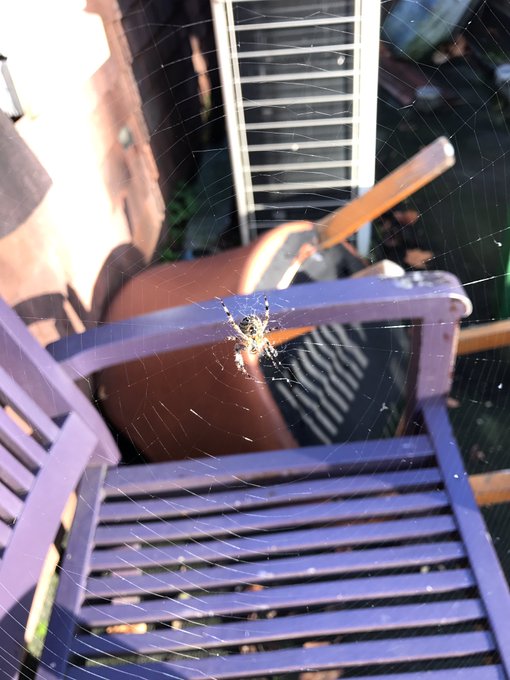 And this is a perfect example for my last tweet🕷 https://t.co/kCLS3WjWHU