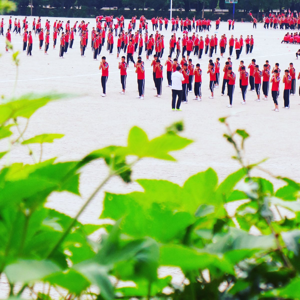 Snappy_Tappy's tweet photo. Day 12 - The #ShaolinTemple &amp; #KungFu School in #Shaolin. #photography #china #worldtravel #asia @STATravel_UK #mountains @theDragonTrip https://t.co/eFiK9wt51t