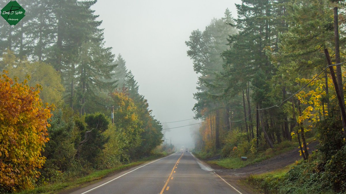 randydwhite's tweet photo. A #foggy #morning in #Oregon
#fall #fog #leaveschanging #fallcolor #fallinoregon #lifeontheroad #randydwhite https://t.co/Sc8EOcogVx