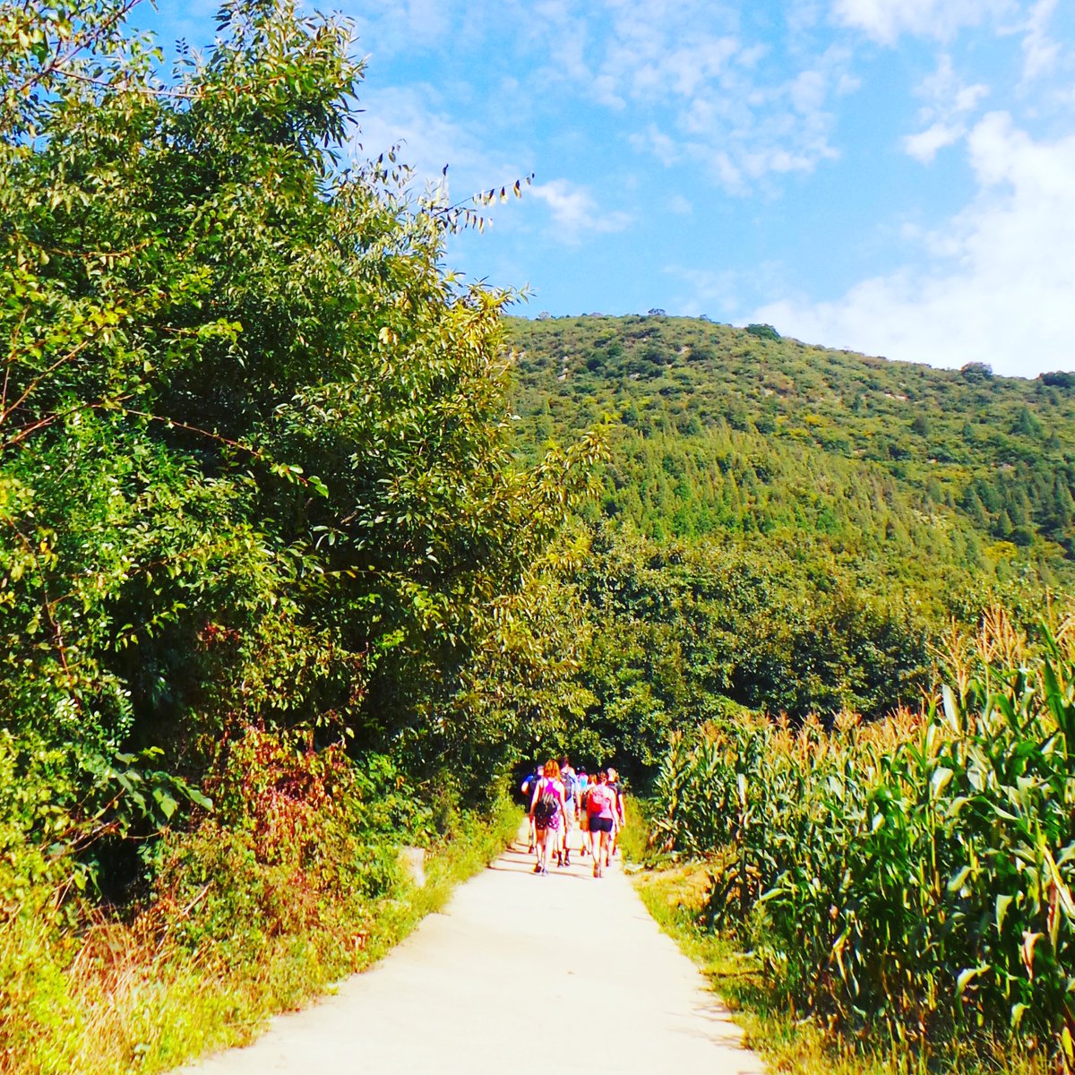 Snappy_Tappy's tweet photo. Day 12 - #Hiking to the #Bodhidharma #statue at #ShaolinTemple &amp; #KungFu School in #Shaolin. #photography @STATravel_UK @theDragonTrip https://t.co/P24Htqi0Fa