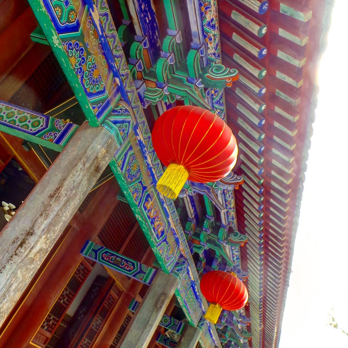 Snappy_Tappy's tweet photo. Day 12 - Walking around the #ShaolinTemple in #Shaolin. #photography #hikingadventures #china #travel #asia @STATravel_UK @theDragonTrip https://t.co/jXkfrHjAUt