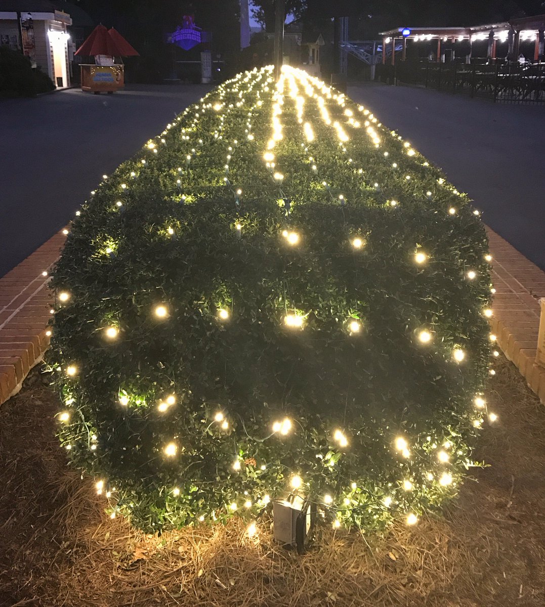 OakIslandCreate's tweet photo. Christmas is coming! π
π»π€Άπ» #HolidayCreative #OakIslandCreative #Christmas #Holidays https://t.co/EWquvAa3Km