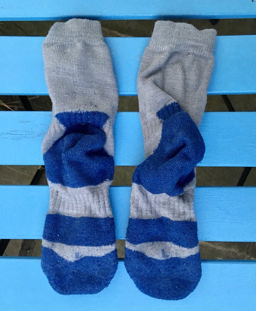 Matt Green tweet media