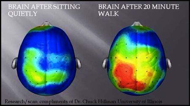 Brain scans show the benefit of a 20-minute walk goo.gl/vWniWh