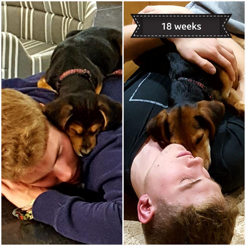 nicsnewthings's tweet photo. Cannot believe my baby is getting so big  14 weeks now https://t.co/pw9CHwRY0b
