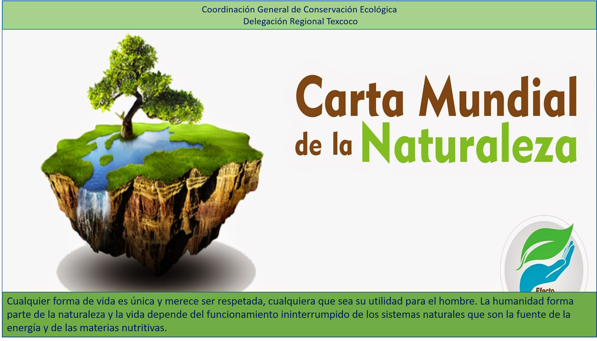 DelTex_CGCE's tweet photo. ¿Sabías qué? El 28 de octubre la ONU aprobó la Carta Mundial de la Naturaleza. https://t.co/1qMFAAAjOi