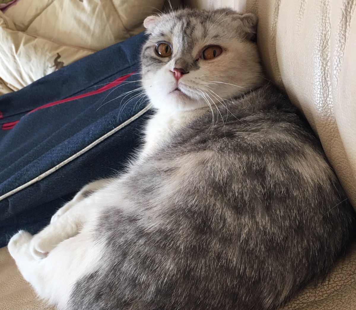 chichtop's tweet photo. Mood : https://t.co/iL1jk1FIdI