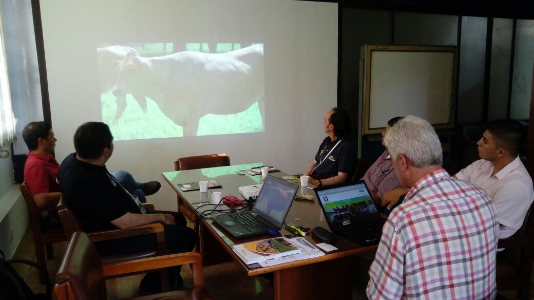 SomosAGROSAVIA's tweet photo. Presentación del Hartón del Valle a @Prevenzia de Chile en #CIPalmira https://t.co/m5lk08lbkQ