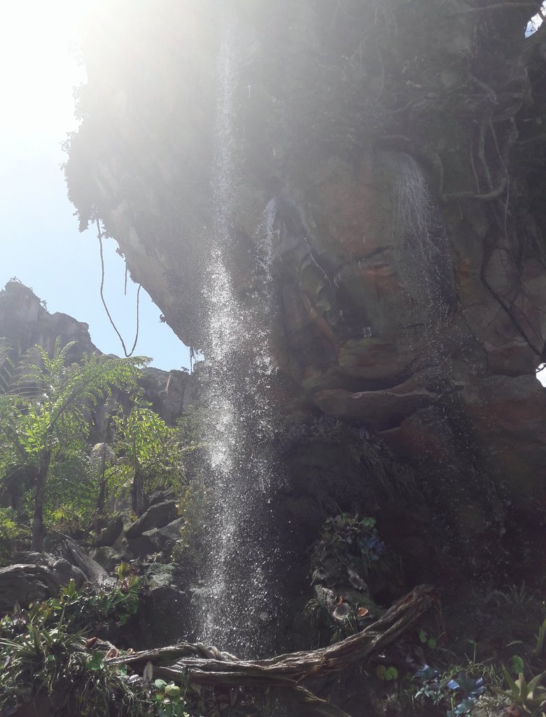PancakeGabi's tweet photo. Pretty Pandora. 💚🌳🍃 #wdw #Pandora #WDWLarty https://t.co/vizC4oPVKT