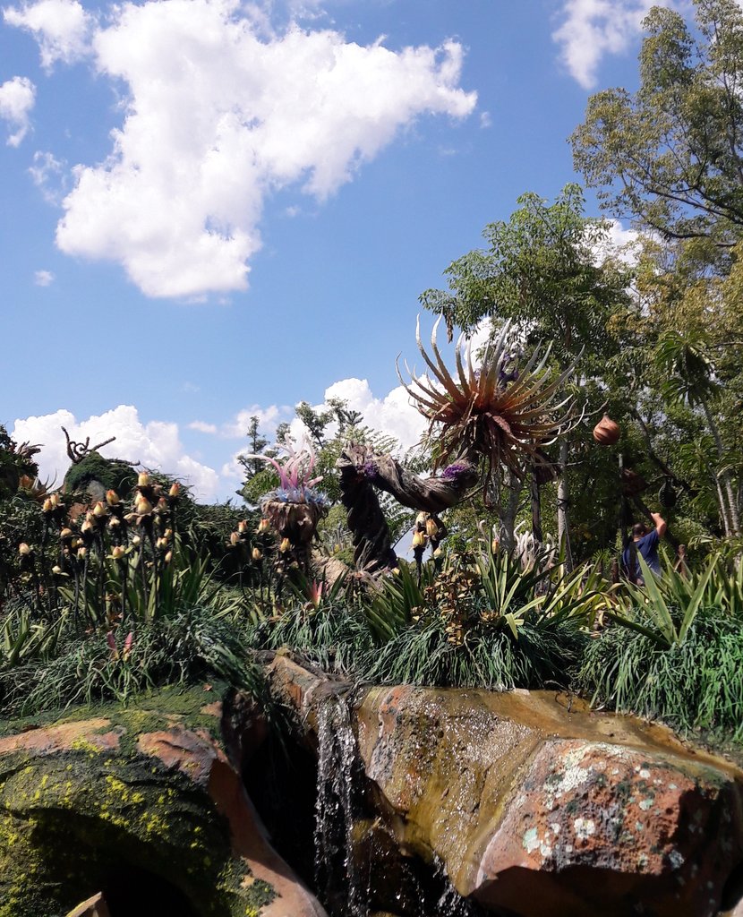 PancakeGabi's tweet photo. Pretty Pandora. 💚🌳🍃 #wdw #Pandora #WDWLarty https://t.co/vizC4oPVKT