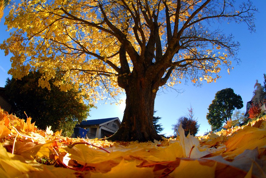 David Sargon tweet media