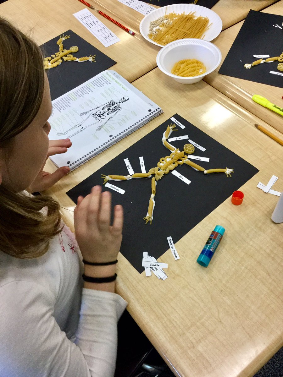 Pasta Skeletons! #DRESpride <a href="/DixonRoadElem/">DixonRoadDragonflies</a> #humanbody