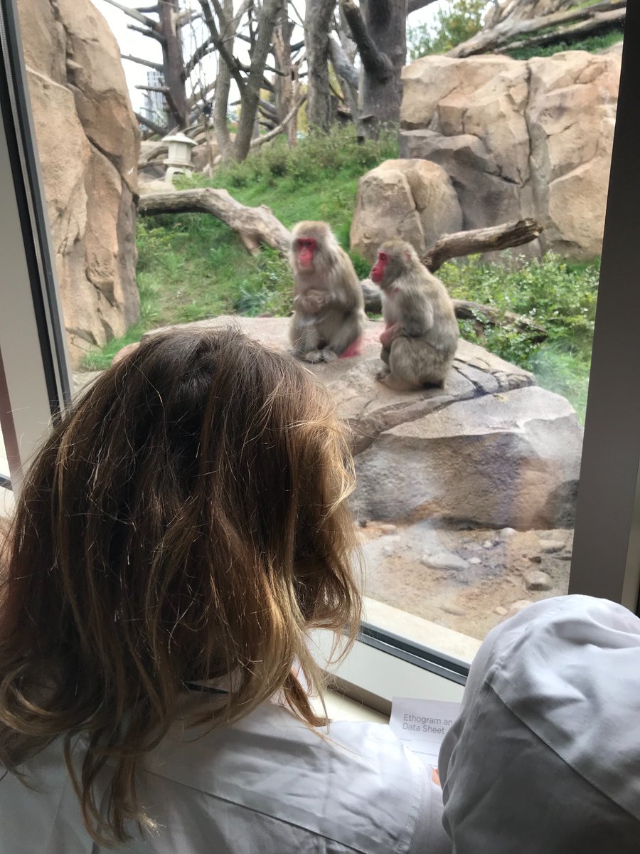 MidSchoolBISC's tweet photo. Middle School students learning about animal behavior using ethogram Lincoln Park Zoo #CASTtime #NAEBeAmbitious https://t.co/KHMgCseoiB