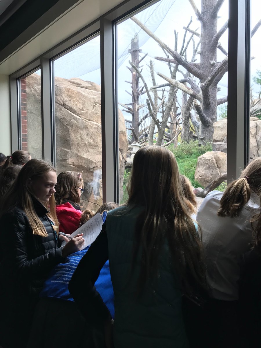 MidSchoolBISC's tweet photo. Middle School students learning about animal behavior using ethogram Lincoln Park Zoo #CASTtime #NAEBeAmbitious https://t.co/KHMgCseoiB
