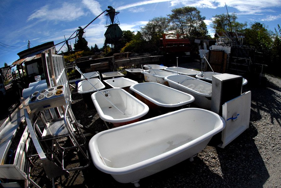 David Sargon tweet media